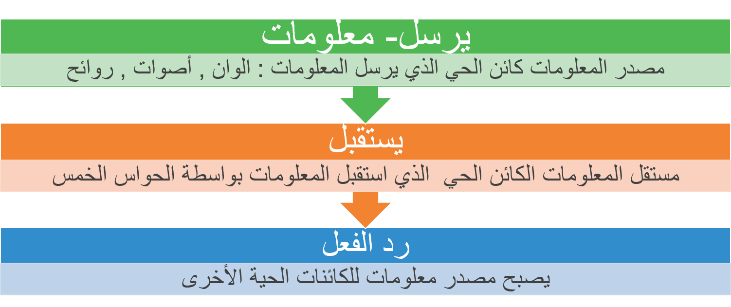 الاتصال علامة حياة