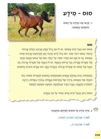 סוס \עמוד 104